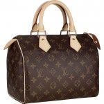 Louis Vuitton Speedy 25 2338
