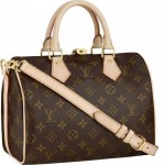 Louis Vuitton Speedy 25 With Shoulder Strap 2344