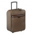 Louis Vuitton Pegase 50 1890