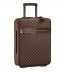 Louis Vuitton Pegase 55 1885