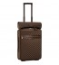 Louis Vuitton Pegase 55 1885