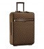 Louis Vuitton Pegase 65 1889