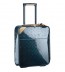 Louis Vuitton Pegase 45 1877