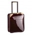 Louis Vuitton Pegase 45 1880