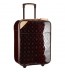 Louis Vuitton Pegase 50 1894