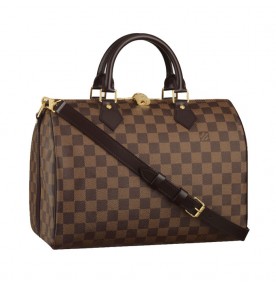 Louis Vuitton Speedy 30 With Shoulder Strap 2356