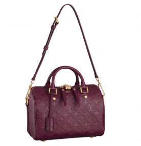 Louis Vuitton Speedy Bandouliere 25 2367