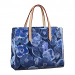 Louis Vuitton Catalina BB 0489