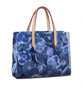 Louis Vuitton Catalina BB 0489