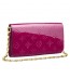 Louis Vuitton Chaine Wallet 0504