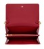 Louis Vuitton Chaine Wallet 0510