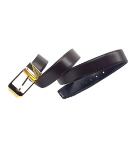 Louis Vuitton Seattle Reversible Belt 2238