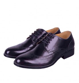 Louis Vuitton Dandy Derby 0598